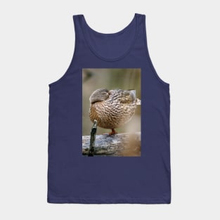 Power Nap Duck Photograph Tank Top